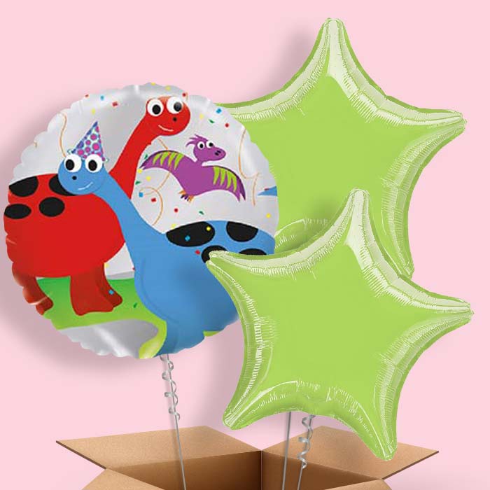 Cute Dinosaur Balloons Delivered in a Box - 3 Balloon | Small Indoor Plants