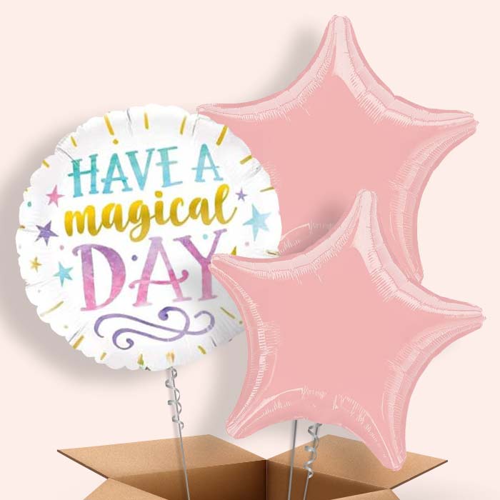Have a Magical Day Balloon in a Box - 3 Balloon | Small Indoor Plants