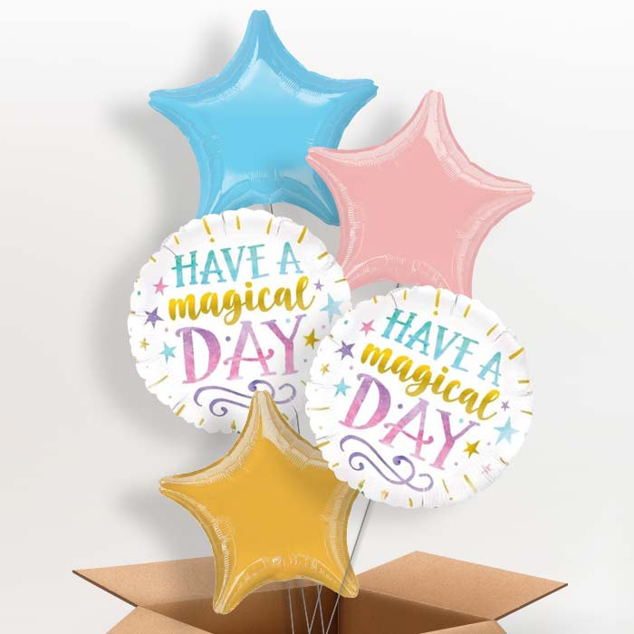 Have a Magical Day Balloon in a Box - 5 Balloon | Small Indoor Plants