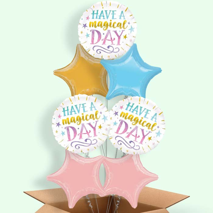 Have a Magical Day Balloon in a Box - 7 Balloon | Small Indoor Plants