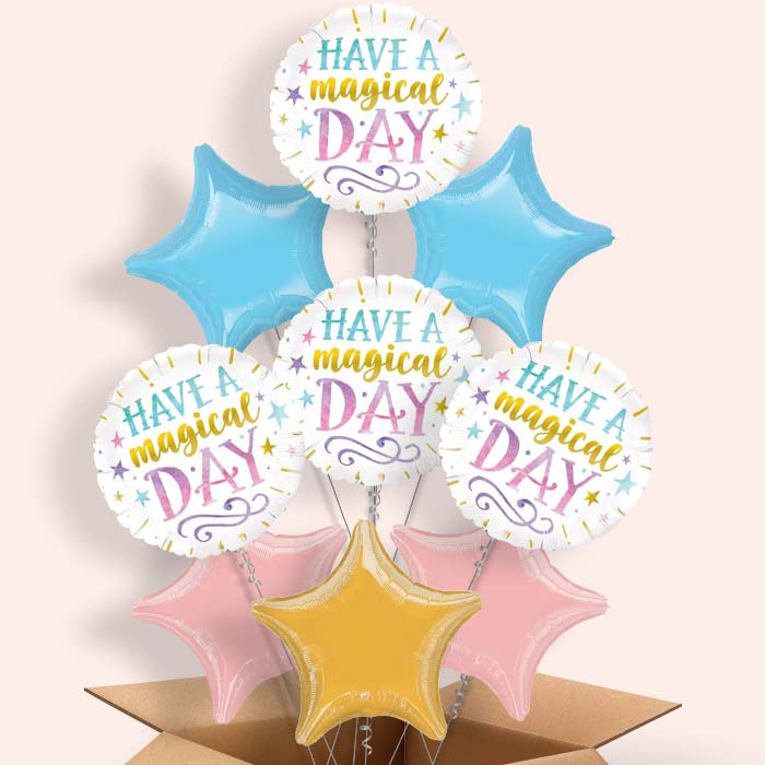 Have a Magical Day Balloon in a Box - 9 Balloon | Small Indoor Plants