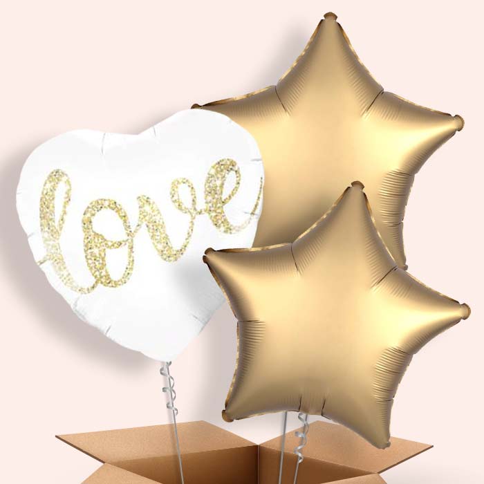 Balloon Love in a Box (Glitter) - 3 Balloon | Small Indoor Plants
