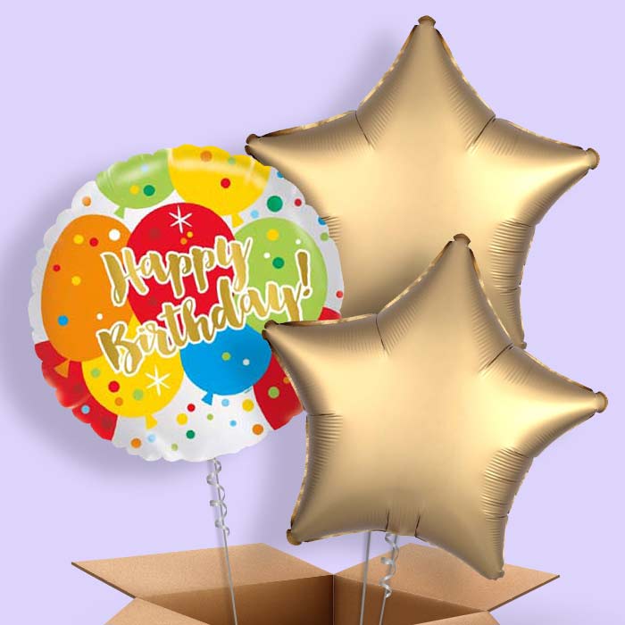 Colourful Balloons in a Box Birthday Delivery - 3 Balloon | Small Indoor Plants