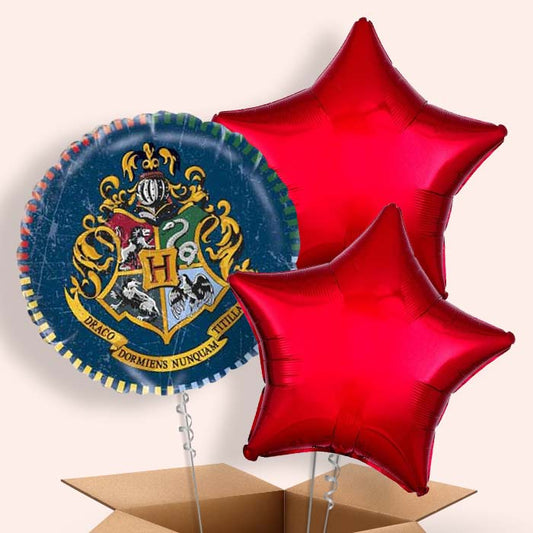 Blue Harry Potter Helium Balloons Delivered - 3 Balloon | Small Indoor Plants