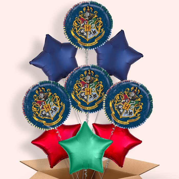 Blue Harry Potter Helium Balloons Delivered - 9 Balloon | Small Indoor Plants
