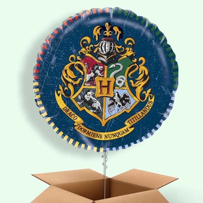 Blue Harry Potter Helium Balloons Delivered - 1 Balloon | Small Indoor Plants