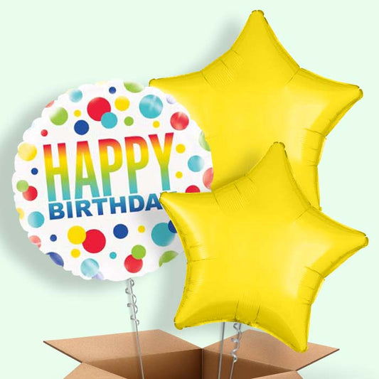 Happy Birthday Rainbow Polka Dot Balloons in a Box - 3 Balloon | Small Indoor Plants