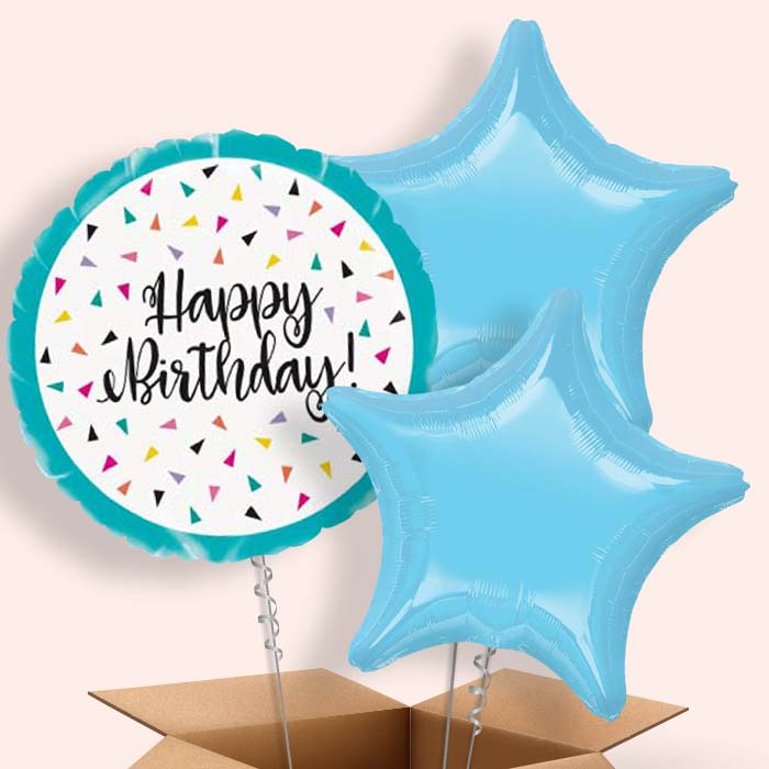 Triangle Confetti Happy Birthday Balloon in a Box - 3 Balloon | Small Indoor Plants