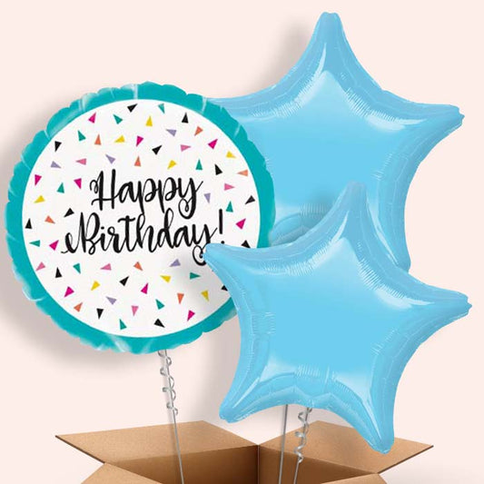 Triangle Confetti Happy Birthday Balloon in a Box - 3 Balloon | Small Indoor Plants