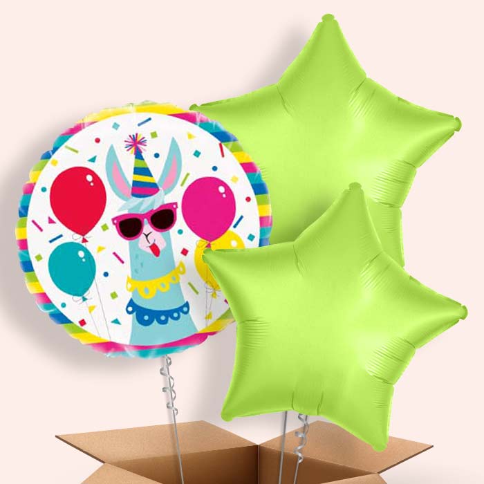 Llama Birthday Balloons Balloon in a Box - 3 Balloon | Small Indoor Plants
