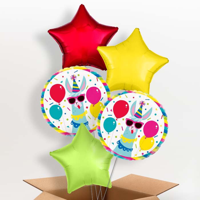 Llama Birthday Balloons Balloon in a Box - 5 Balloon | Small Indoor Plants