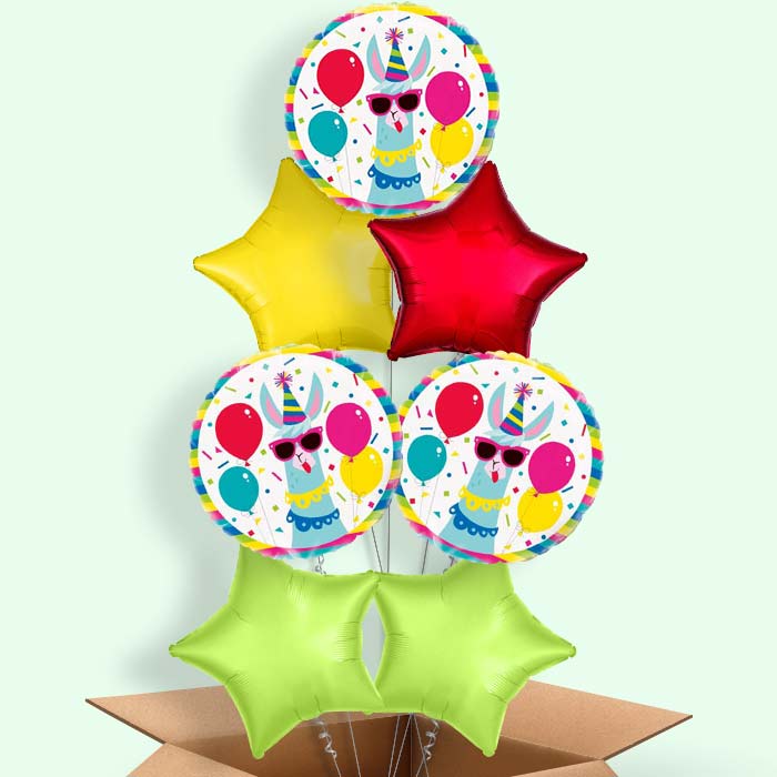 Llama Birthday Balloons Balloon in a Box - 7 Balloon | Small Indoor Plants