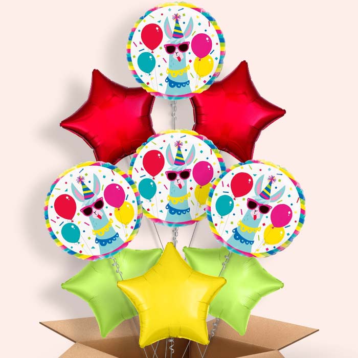 Llama Birthday Balloons Balloon in a Box - 9 Balloon | Small Indoor Plants
