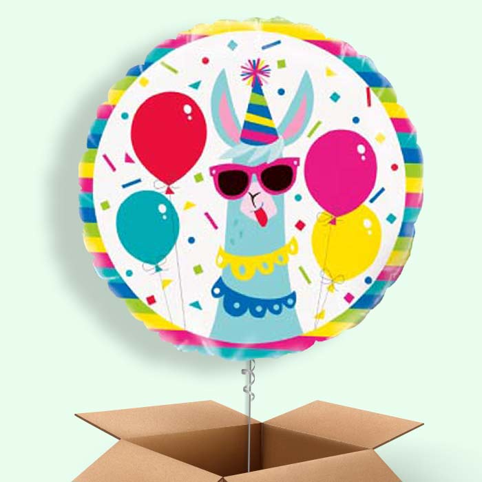 Llama Birthday Balloons Balloon in a Box - 1 Balloon | Small Indoor Plants