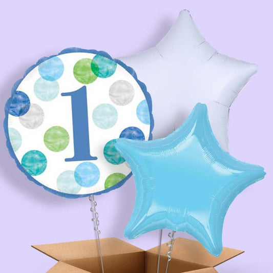 Blue Dots 1st Birthday Balloon in a Box - 3 Balloon | Small Indoor Plants