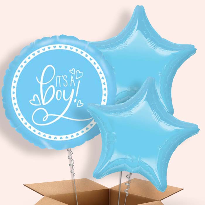 Blue It's a Baby Boy Balloons Delivered - 3 Balloon | Small Indoor Plants