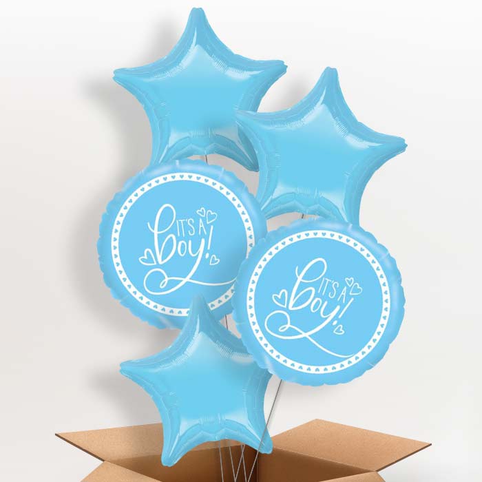 Blue It's a Baby Boy Balloons Delivered - 5 Balloon | Small Indoor Plants