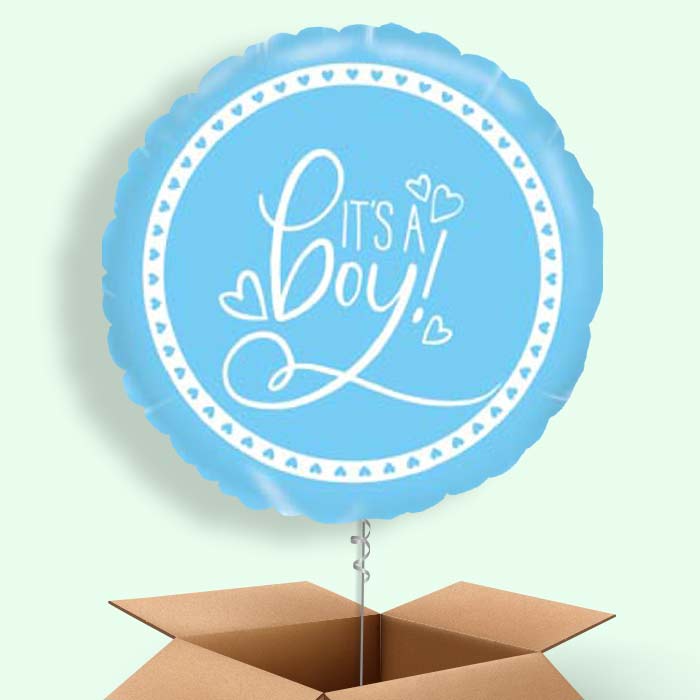 Blue It's a Baby Boy Balloons Delivered - 1 Balloon | Small Indoor Plants
