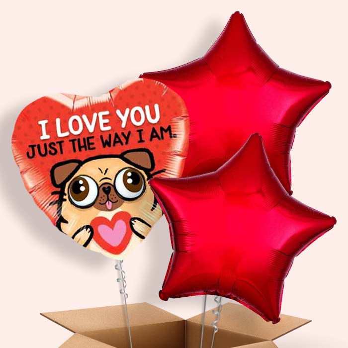 Pug Balloon in a Box (Love) - 3 Balloon | Small Indoor Plants