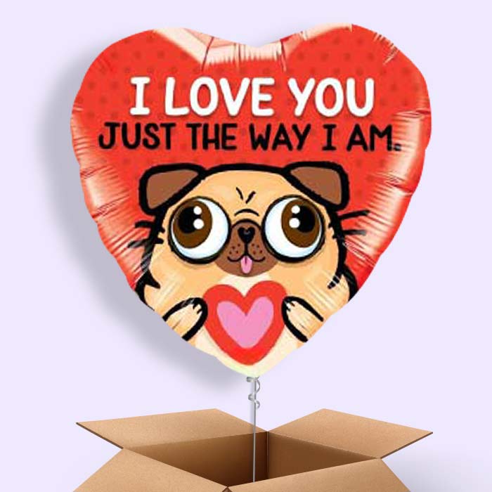 Pug Balloon in a Box (Love) - 1 Balloon | Small Indoor Plants