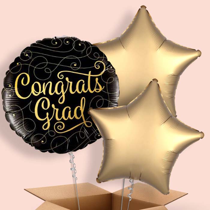 Black and Gold Graduation Balloons Delivered - 3 Balloon | Small Indoor Plants