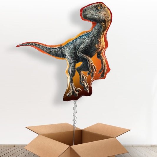 Raptor Jurassic World Birthday Balloon in a Box - With 3 Themed Balloons | Small Indoor Plants