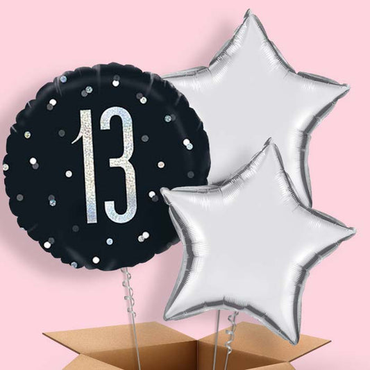 Black & Silver 13th Birthday Balloon in a Box - 3 Balloon | Small Indoor Plants