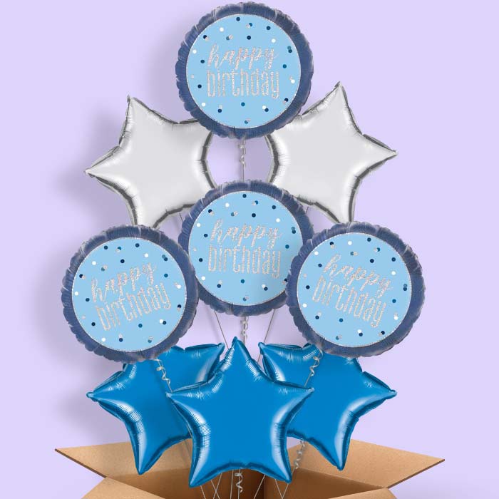 Blue and Silver Holographic Happy Birthday Balloon in a Box - 9 Balloon | Small Indoor Plants