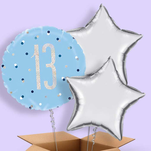Blue and Silver Holographic 13th Birthday Balloon in a Box - 3 Balloon | Small Indoor Plants
