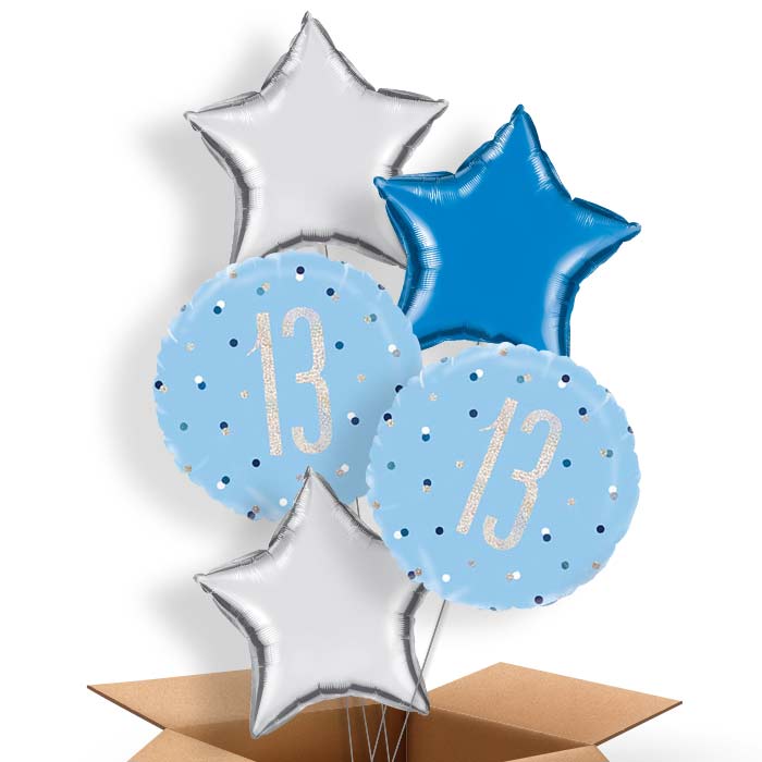 Blue and Silver Holographic 13th Birthday Balloon in a Box - 5 Balloon | Small Indoor Plants