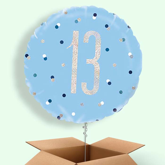 Blue and Silver Holographic 13th Birthday Balloon in a Box - 1 Balloon | Small Indoor Plants