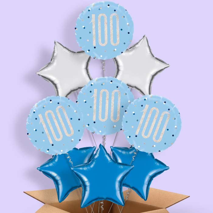 Blue and Silver Holographic 100th Birthday Balloon in a Box - 9 Balloon | Small Indoor Plants