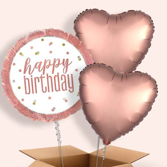Rose Gold Holographic Happy Birthday  Balloon in a Box - 3 Balloon | Small Indoor Plants