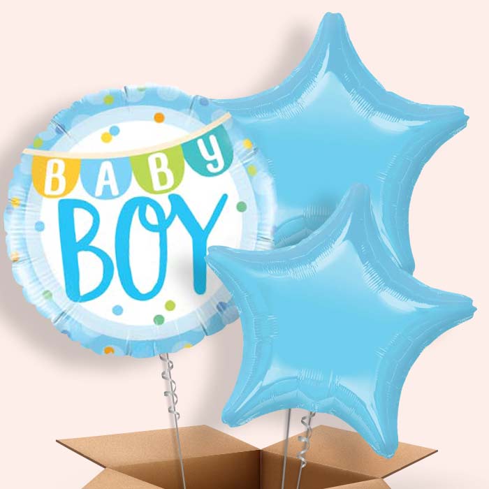 Baby Boy Balloons in a Box - 3 Balloon | Small Indoor Plants