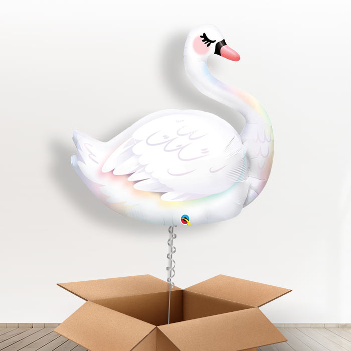 Giant Balloon Swan Delivered in a Box - Giant Balloon | Small Indoor Plants