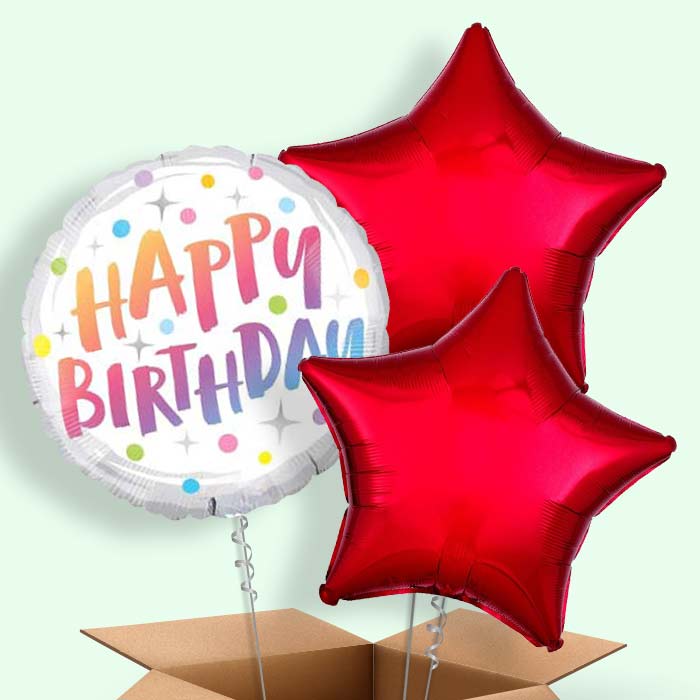 Rainbow Dots Pastel Birthday Balloons in a Box - 3 Balloon | Small Indoor Plants