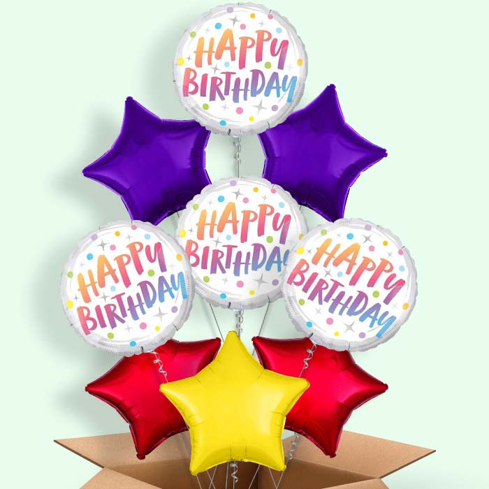 Rainbow Dots Pastel Birthday Balloons in a Box - 9 Balloon | Small Indoor Plants