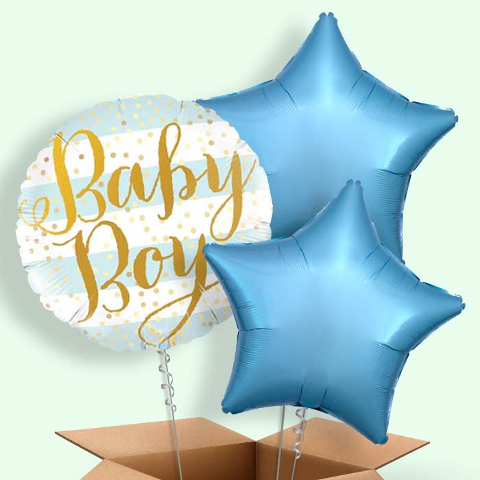New Baby Boy Balloons in a Box - 3 Balloon | Small Indoor Plants