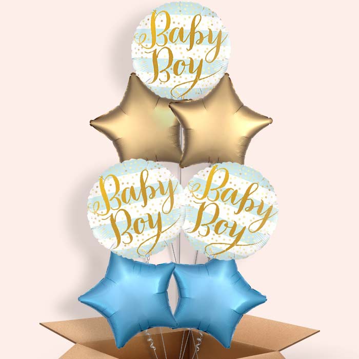 New Baby Boy Balloons in a Box - 7 Balloon | Small Indoor Plants