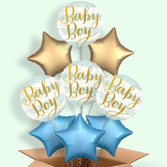 New Baby Boy Balloons in a Box - 9 Balloon | Small Indoor Plants