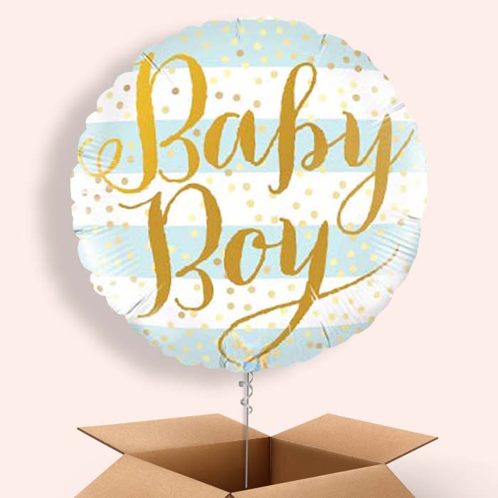 New Baby Boy Balloons in a Box - 1 Balloon | Small Indoor Plants