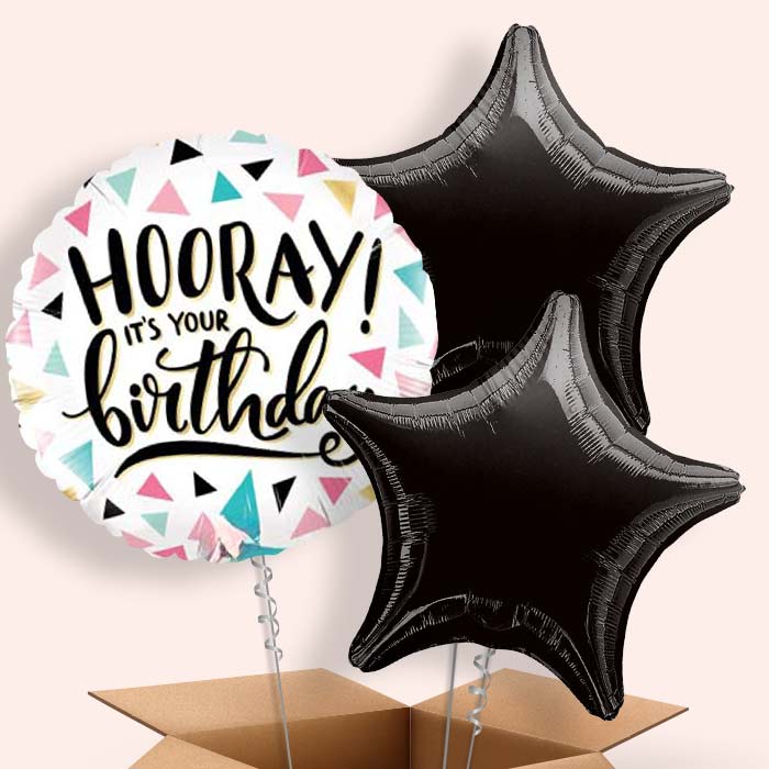 Hooray It’s Your Birthday Balloon in a Box - 3 Balloon | Small Indoor Plants
