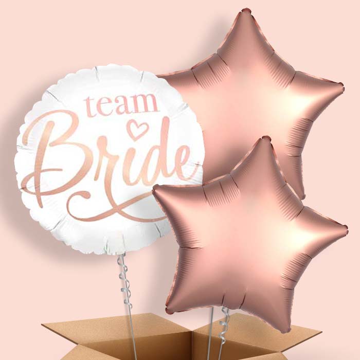 Team Bride | Rose Gold Balloon in a Box - 3 Balloon | Small Indoor Plants