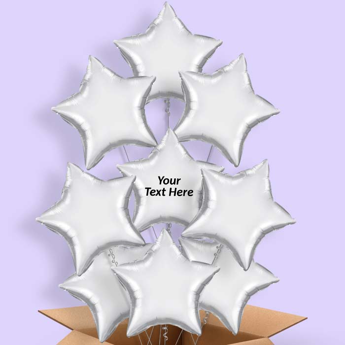 Chrome Silver Balloons in a Box - Star - 9 Balloon | Small Indoor Plants