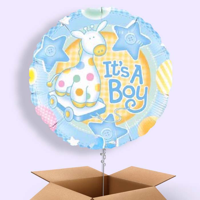 Baby Boy Helium Balloon in a Box (Giraffe) - 1 Balloon | Small Indoor Plants