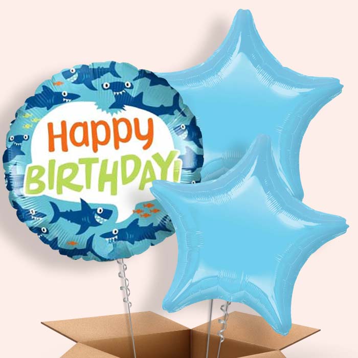 Shark Birthday Balloons in a Box - 3 Balloon | Small Indoor Plants