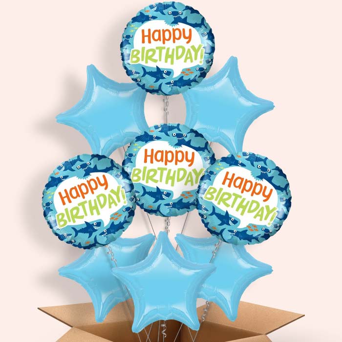 Shark Birthday Balloons in a Box - 9 Balloon | Small Indoor Plants