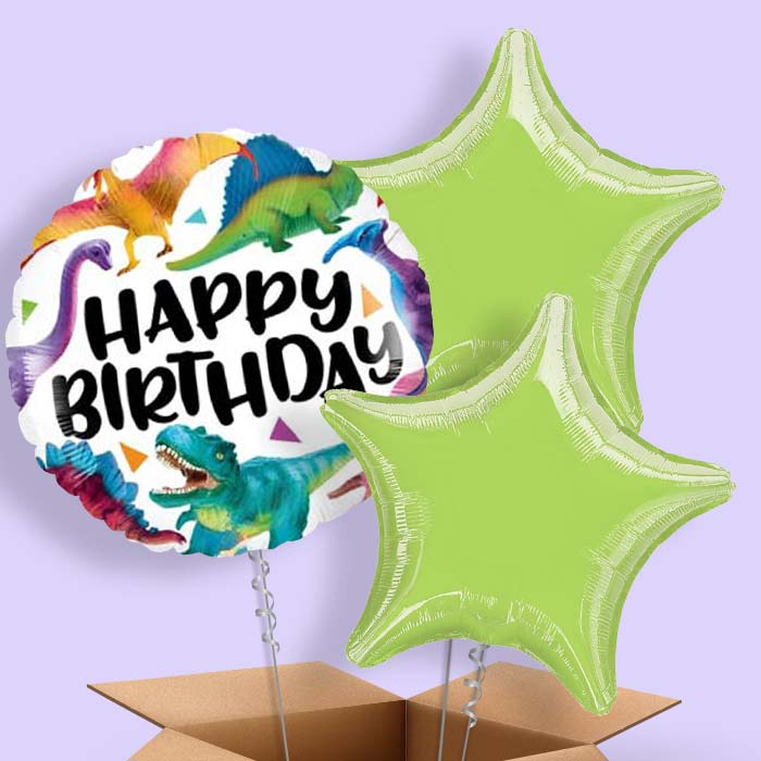 Dinosaur Birthday Balloons in a Box - 3 Balloon | Small Indoor Plants