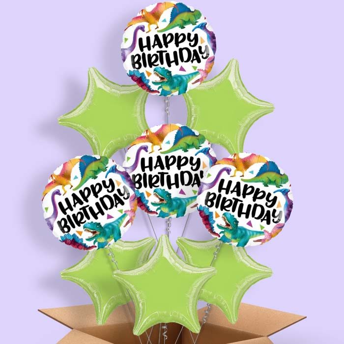 Dinosaur Birthday Balloons in a Box - 9 Balloon | Small Indoor Plants