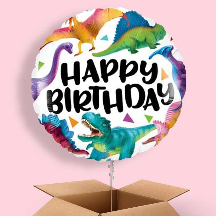 Dinosaur Birthday Balloons in a Box - 1 Balloon | Small Indoor Plants
